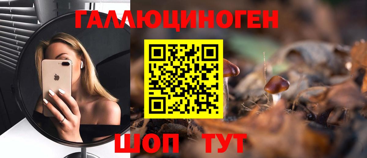 Псилоцибиновые грибы Magic Shrooms  Вход с VPN  Чехов 